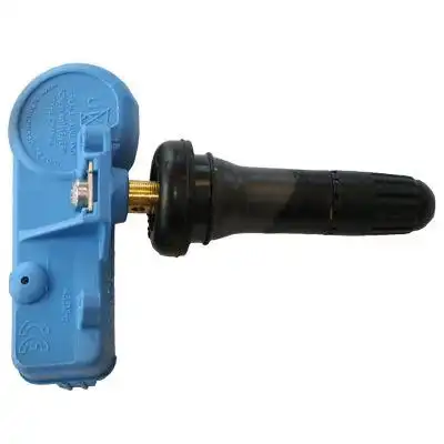 Schrader RDKS-Sensor 3049