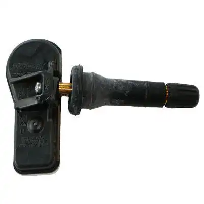 Schrader RDKS-Sensor 3041