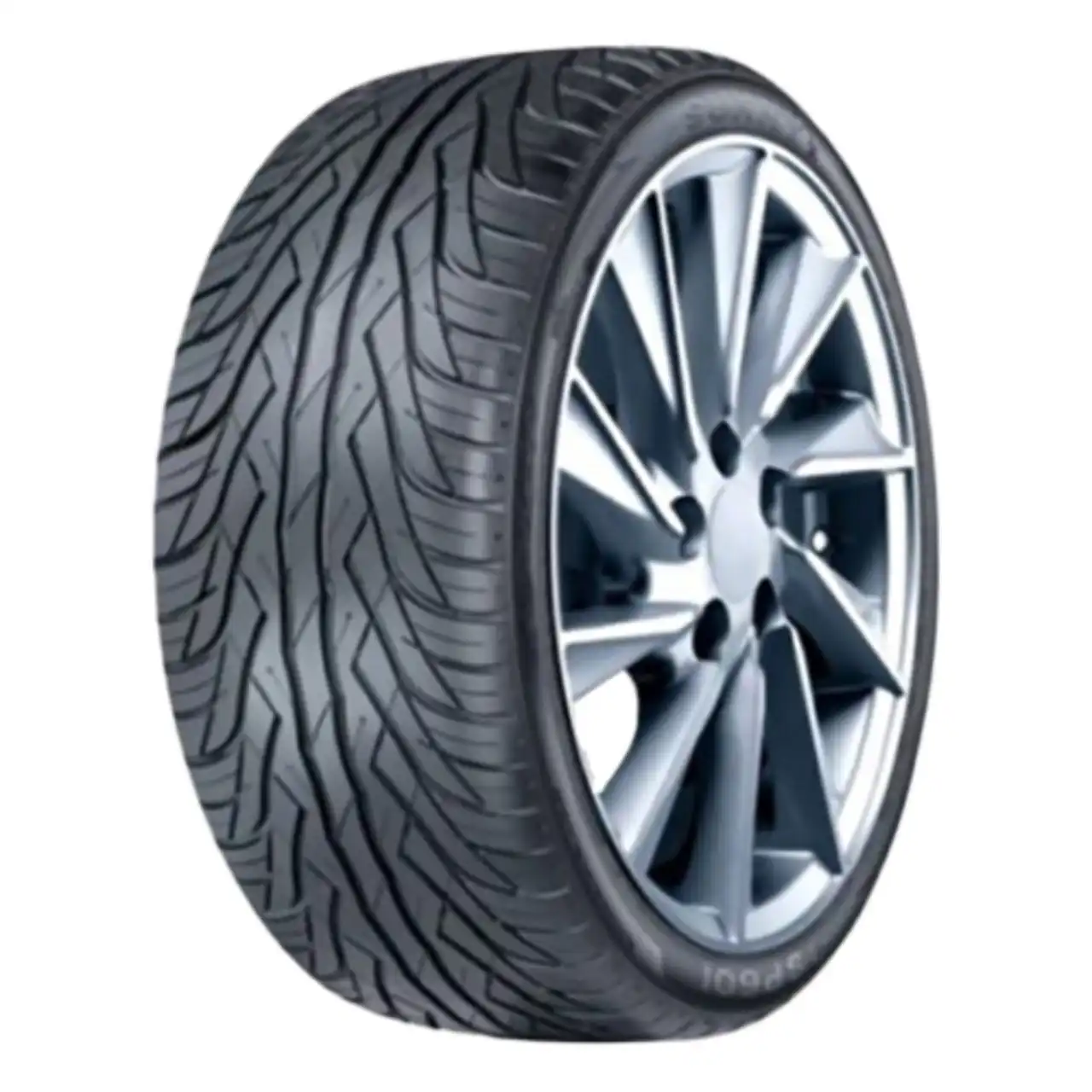SUNNY SSP601 255/40R20 101W XL BSW
