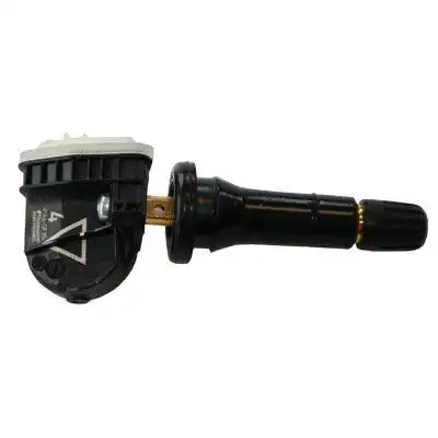 Schrader RDKS-Sensor 3063