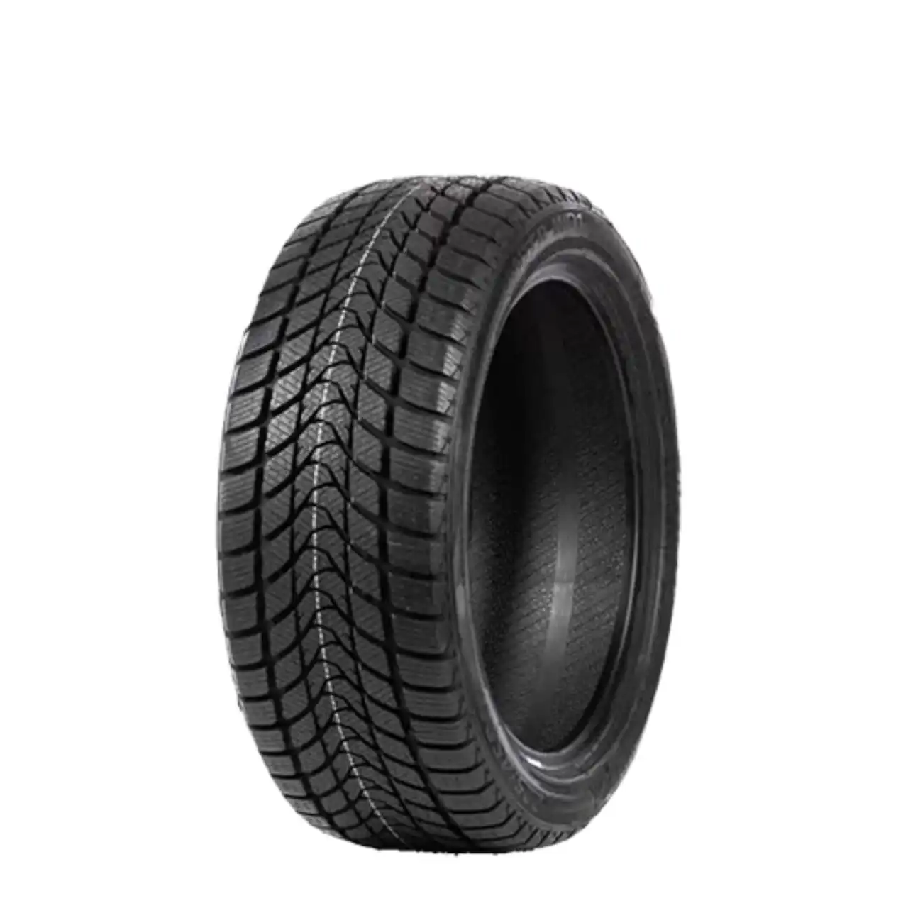 DELINTE WINTER WD1 205/55R16 91H BSW