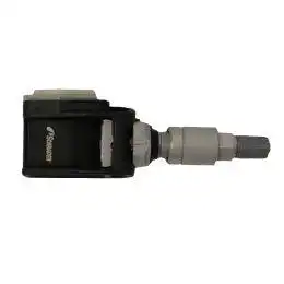 Schrader RDKS-Sensor 3174