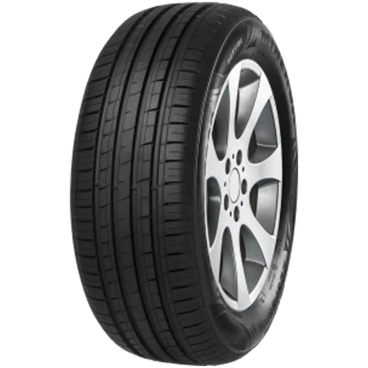MINERVA F209 205/50R15 89V XL BSW