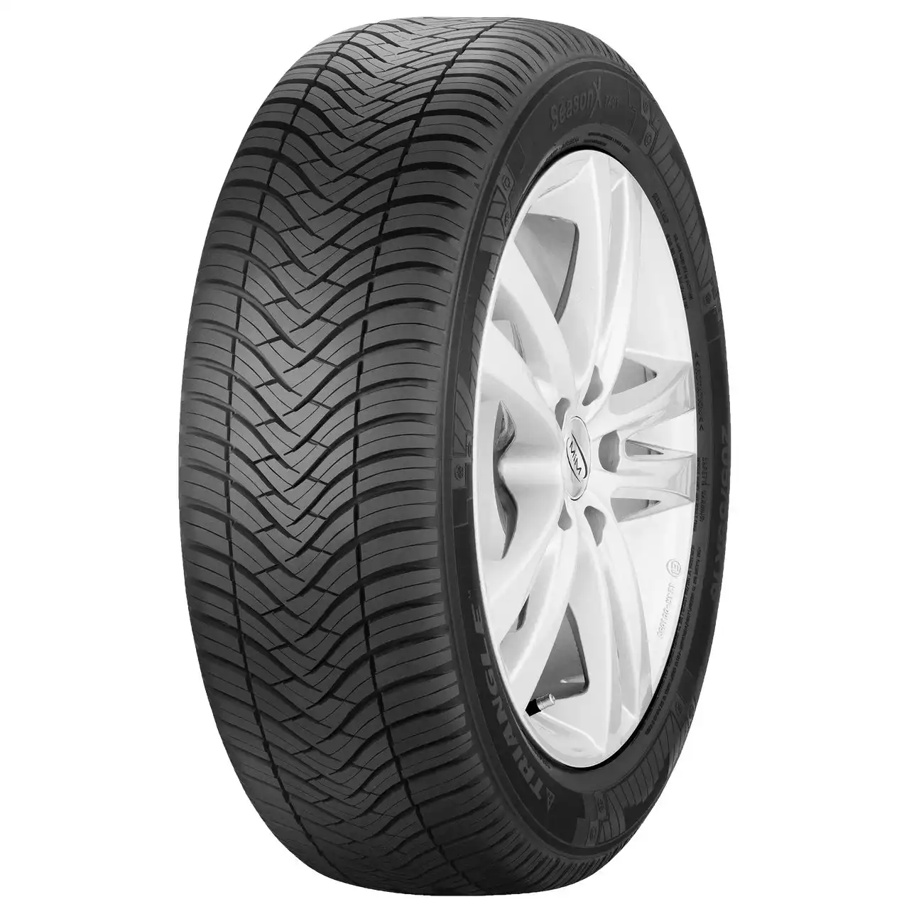 TRIANGLE SEASONX TA01 195/55R20 95H XL FSL BSW