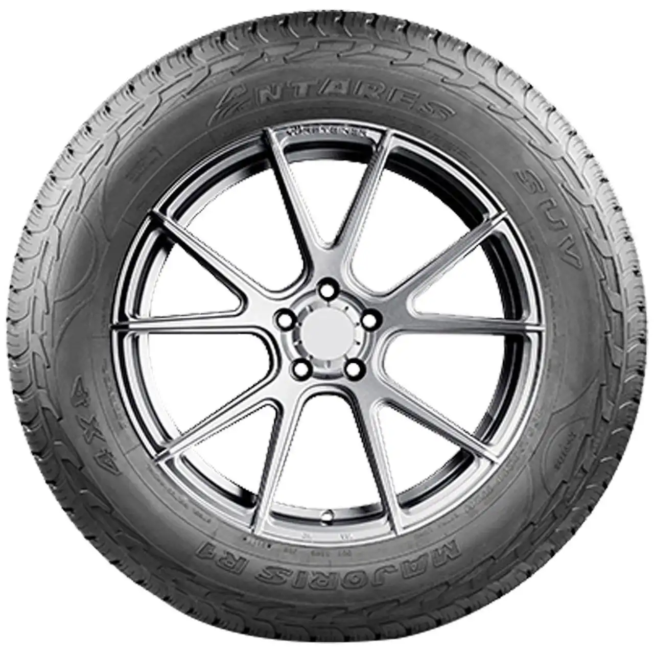 ANTARES MAJORIS R1 245/65R17 111S XL BSW
